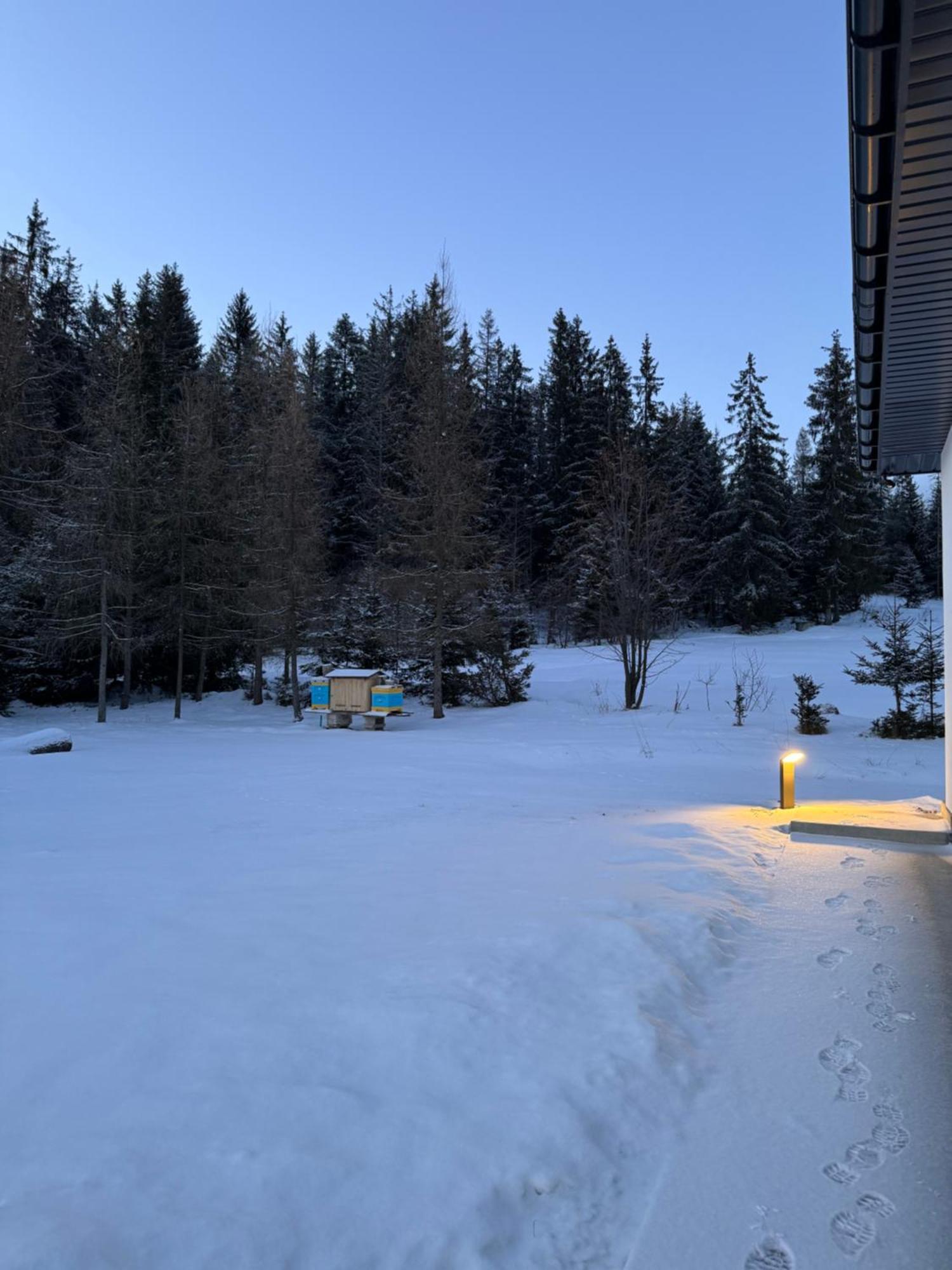 Villa Orawska Knieja 2.0 à Lipnica Wielka Extérieur photo